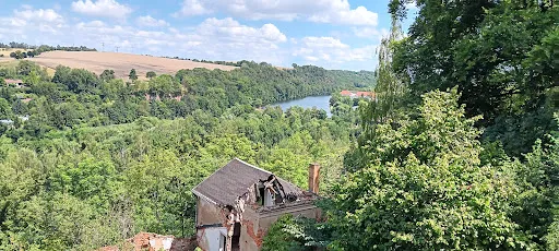 Bild von Taverne