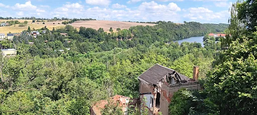 Bild von Taverne