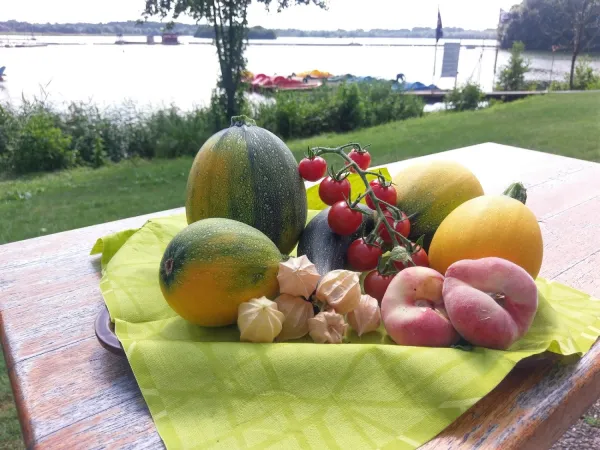 Bild von Bistro Seemöwe