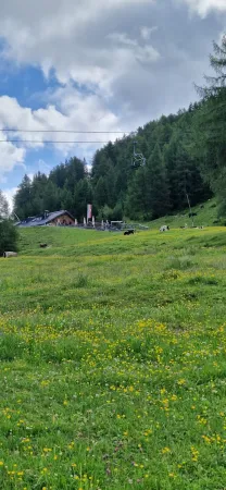 Bild von Mirjam Schultes