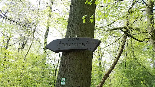 Bild von Bauernhofcafé Kapellenhof
