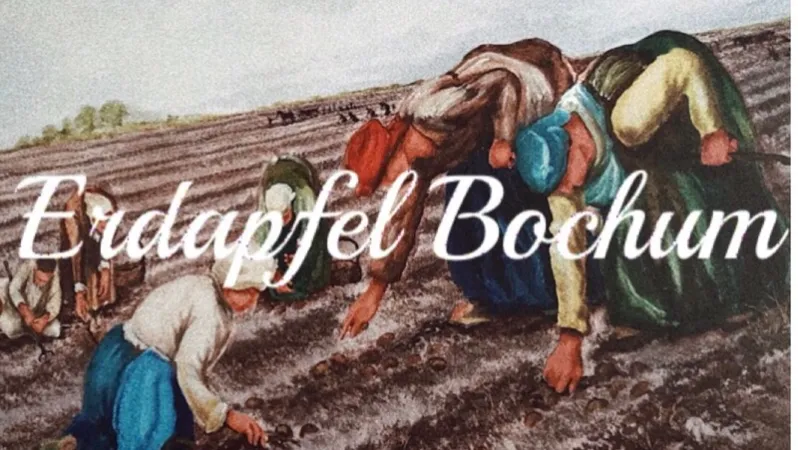 Bild von Erdapfel