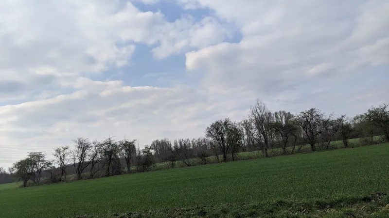 Bild von undefined