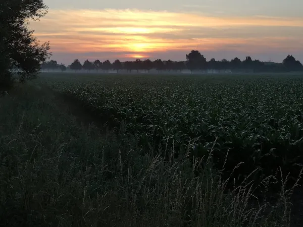 Bild von undefined