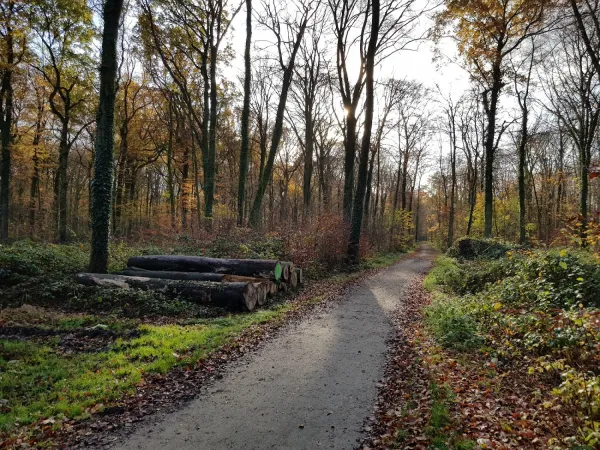 Bild von undefined