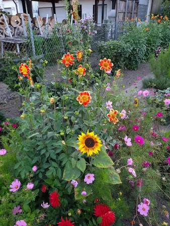 Bild von undefined