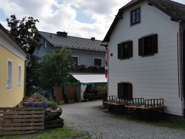 Bild von Tomas