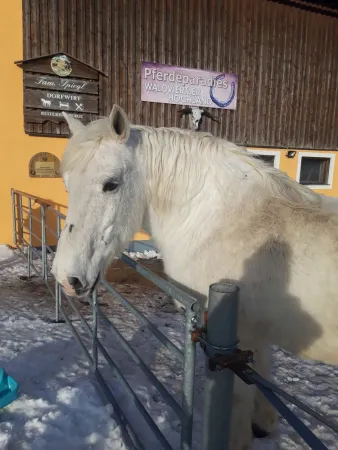 Bild von Caroline Lindorfer
