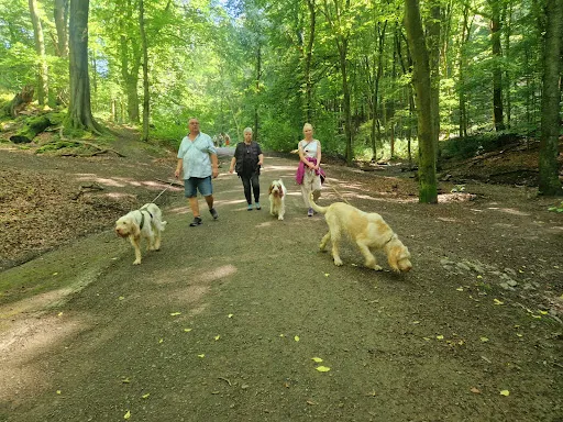 Bild von Im Justenkamp