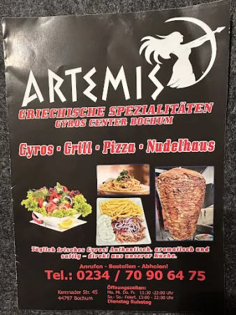 Bild von Artemis Gyros Center