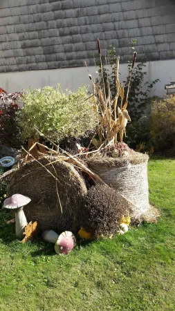 Bild von Maria Luzia Kieweg