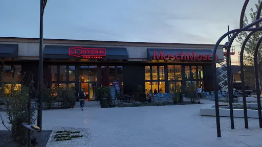 Bild von MoschMosch MTZ