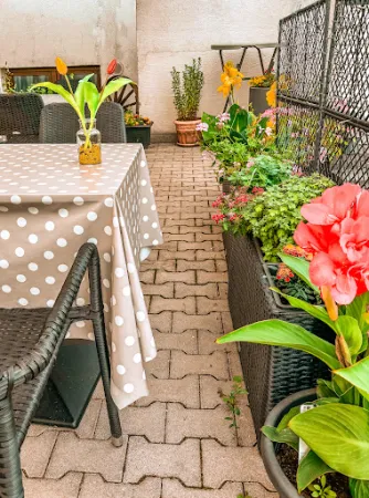 Bild von Ristorante-Pizzeria Tramonto