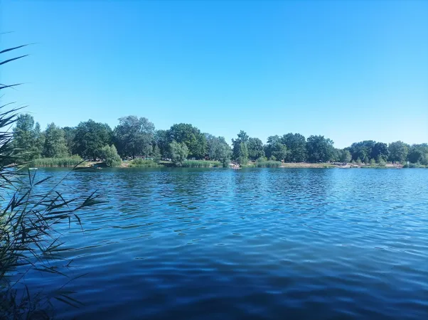Bild von undefined