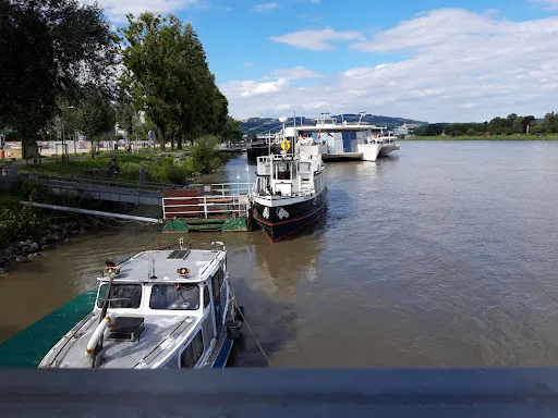 Bild von Salonschiff Fräulein Florentine