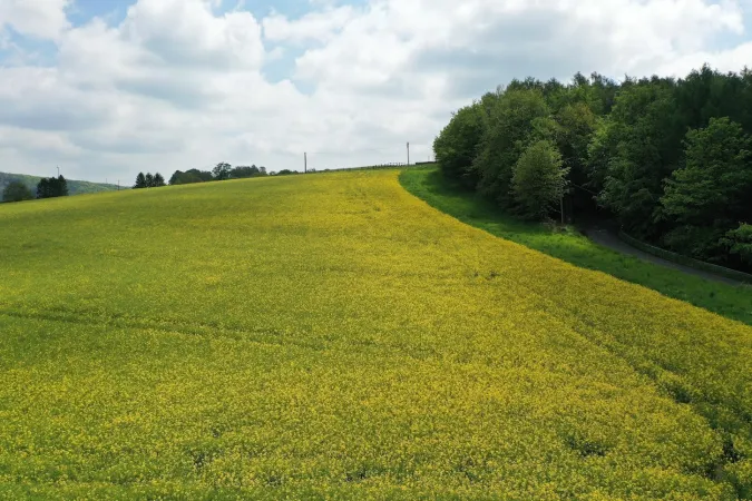 Bild von undefined