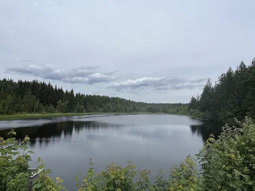 Bild von MoorTreff Rubenerteich