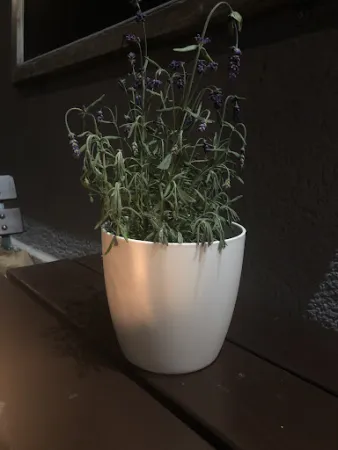 Bild von Italienisches Restaurant Osteria Pizzeria Friulana München Muenchen