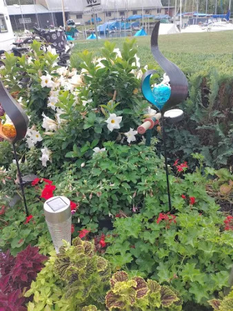 Bild von Schifferstübchen