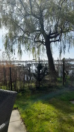 Bild von Restaurant Zur Anglerklause