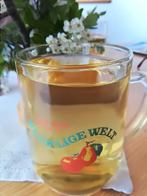 Mostwirtshaus Stegbauer