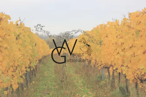Bild von Weinheuriger-Weingut Gaitzenauer