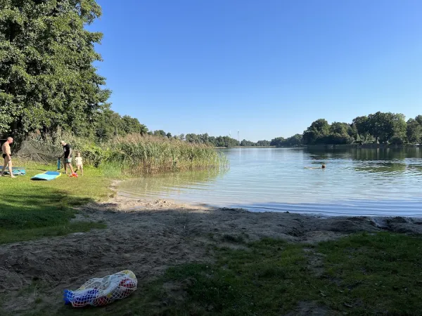Bild von undefined