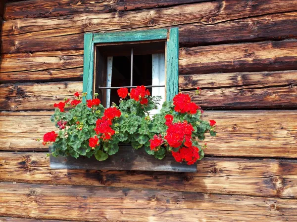 Bild von undefined
