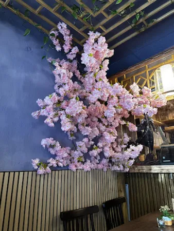 Bild von TOWA Sushi-Restaurant