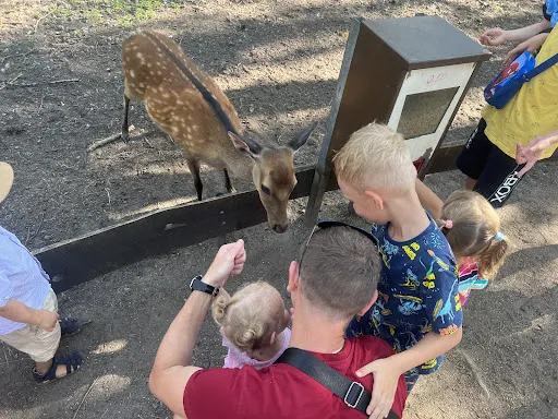 Bild von Fuchsbau-Imbiss im Tier-, Freizeit- und Saurierpark Germendorf