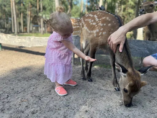 Bild von Fuchsbau-Imbiss im Tier-, Freizeit- und Saurierpark Germendorf