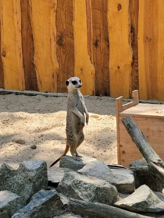 Bild von Fuchsbau-Imbiss im Tier-, Freizeit- und Saurierpark Germendorf
