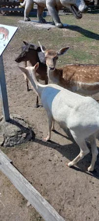 Bild von Fuchsbau-Imbiss im Tier-, Freizeit- und Saurierpark Germendorf
