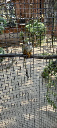Bild von Fuchsbau-Imbiss im Tier-, Freizeit- und Saurierpark Germendorf