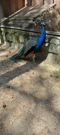 Bild von Fuchsbau-Imbiss im Tier-, Freizeit- und Saurierpark Germendorf