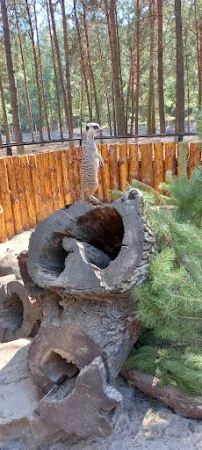 Bild von Fuchsbau-Imbiss im Tier-, Freizeit- und Saurierpark Germendorf