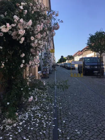 Bild von undefined