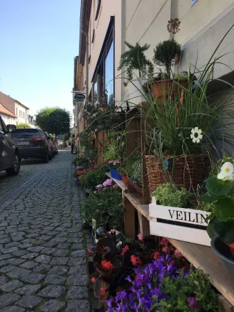 Bild von undefined