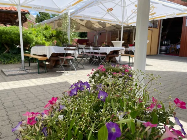 Bild von undefined