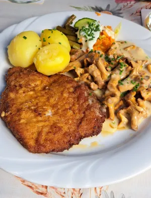 Restaurant & Pension Waldschlösschen
