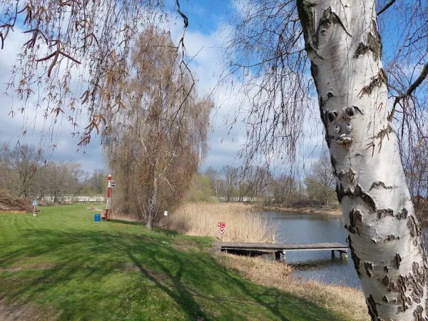 Bild von undefined