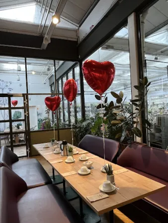 Bild von Restaurant Bambusgarten Pflanzen Kölle