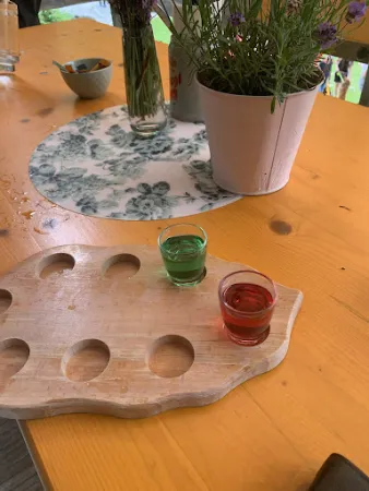 Bild von Holzmeister Nieder Alm