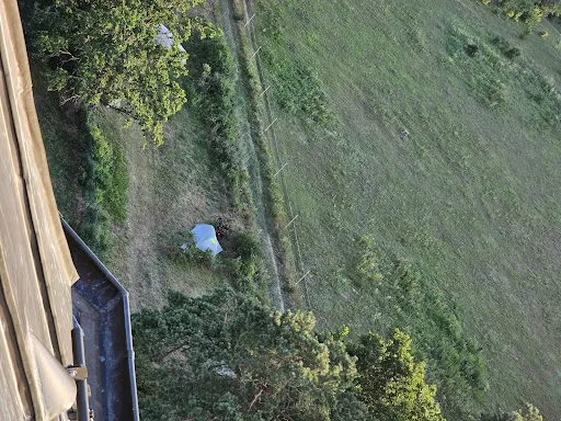Bild von Zehdenicker Wasserturm