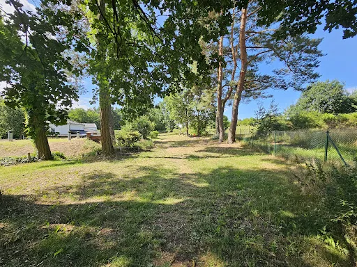Bild von Zehdenicker Wasserturm
