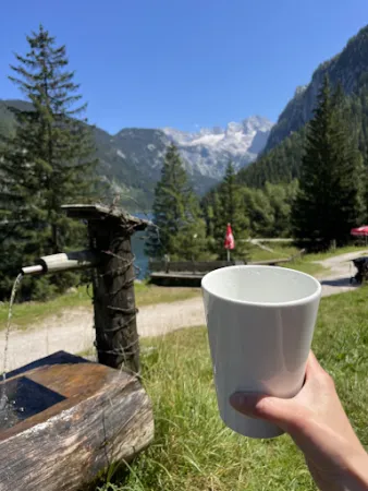 Bild von Holzmeister Nieder Alm