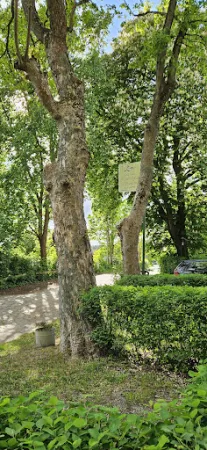 Bild von Gasthaus zum weissen Schwan