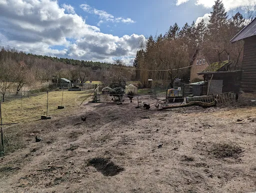 Bild von Alte Försterei Wensickendorf