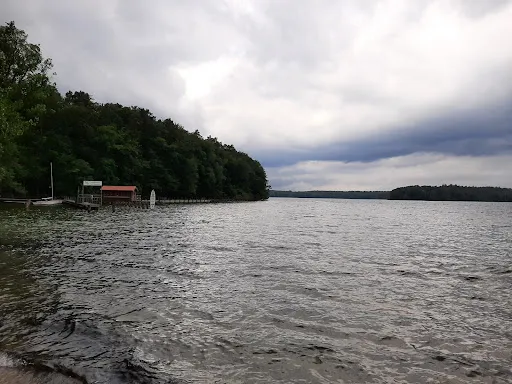 Bild von Fischerei Stechlinsee