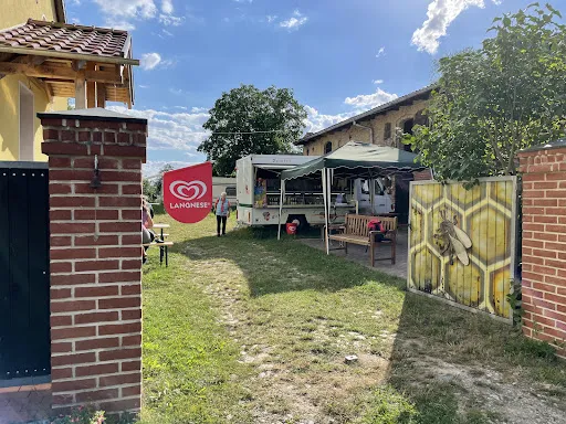 Bild von Falafel Garten